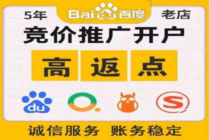 行业领先企业的SEM竞价代运营案例解析
